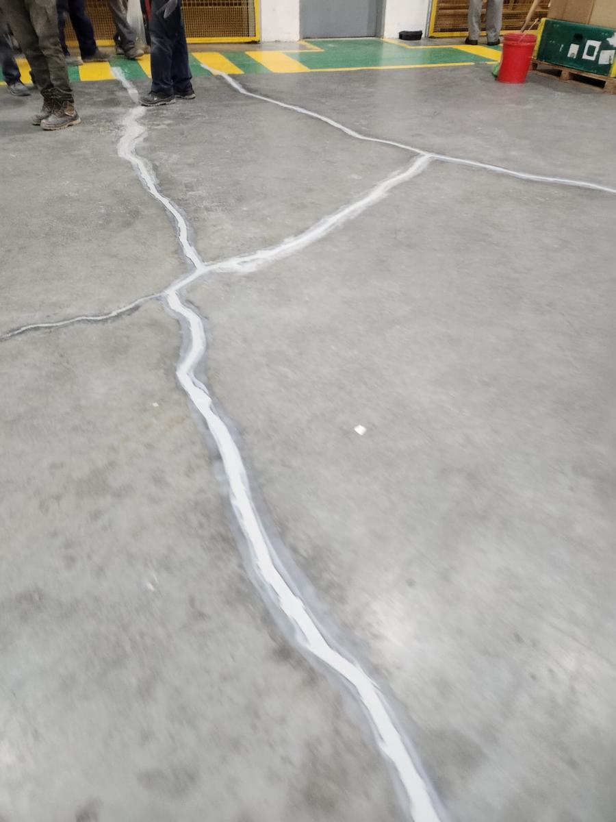 Detalle Sika 1