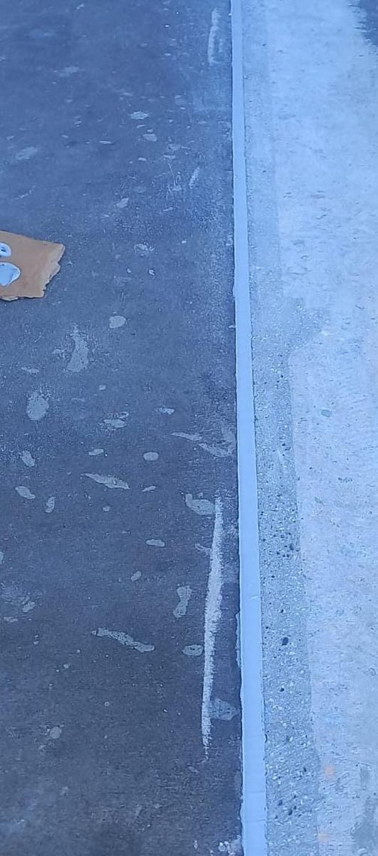 Detalle Sika 2